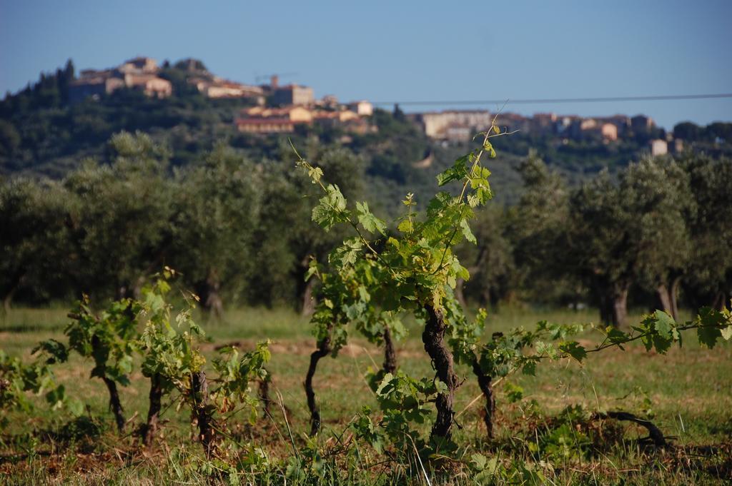 Agriturismo Quattro Pini Кастаньєто-Кардуччі Екстер'єр фото