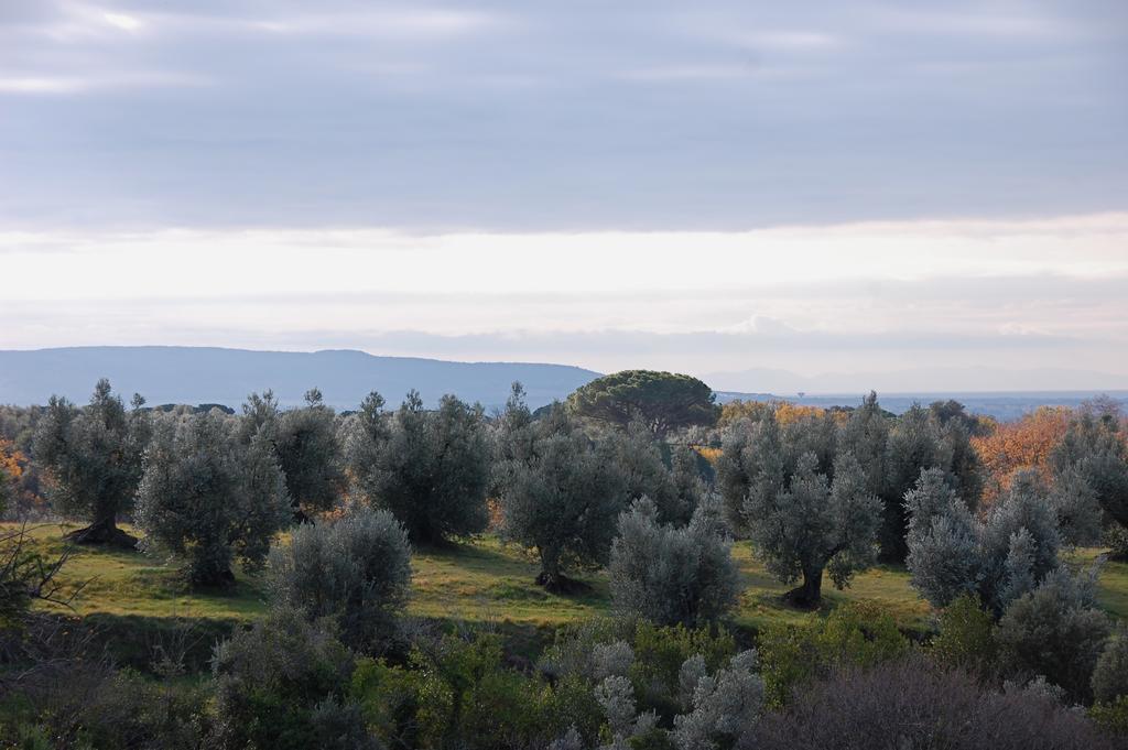 Agriturismo Quattro Pini Кастаньєто-Кардуччі Екстер'єр фото