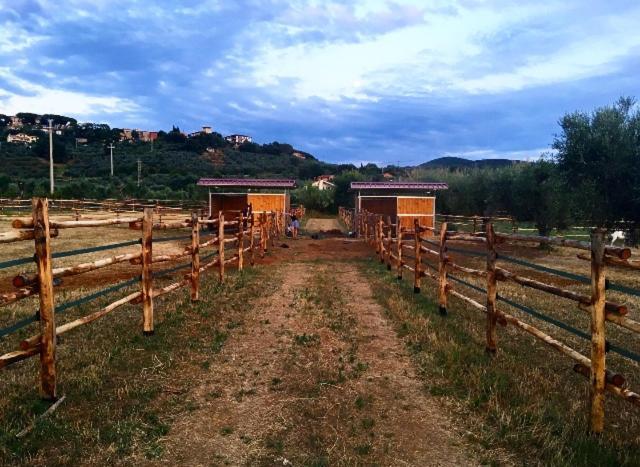 Agriturismo Quattro Pini Кастаньєто-Кардуччі Екстер'єр фото